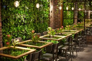 Thiet ke anh sang quan cafe san vuon greenmore2 300x200